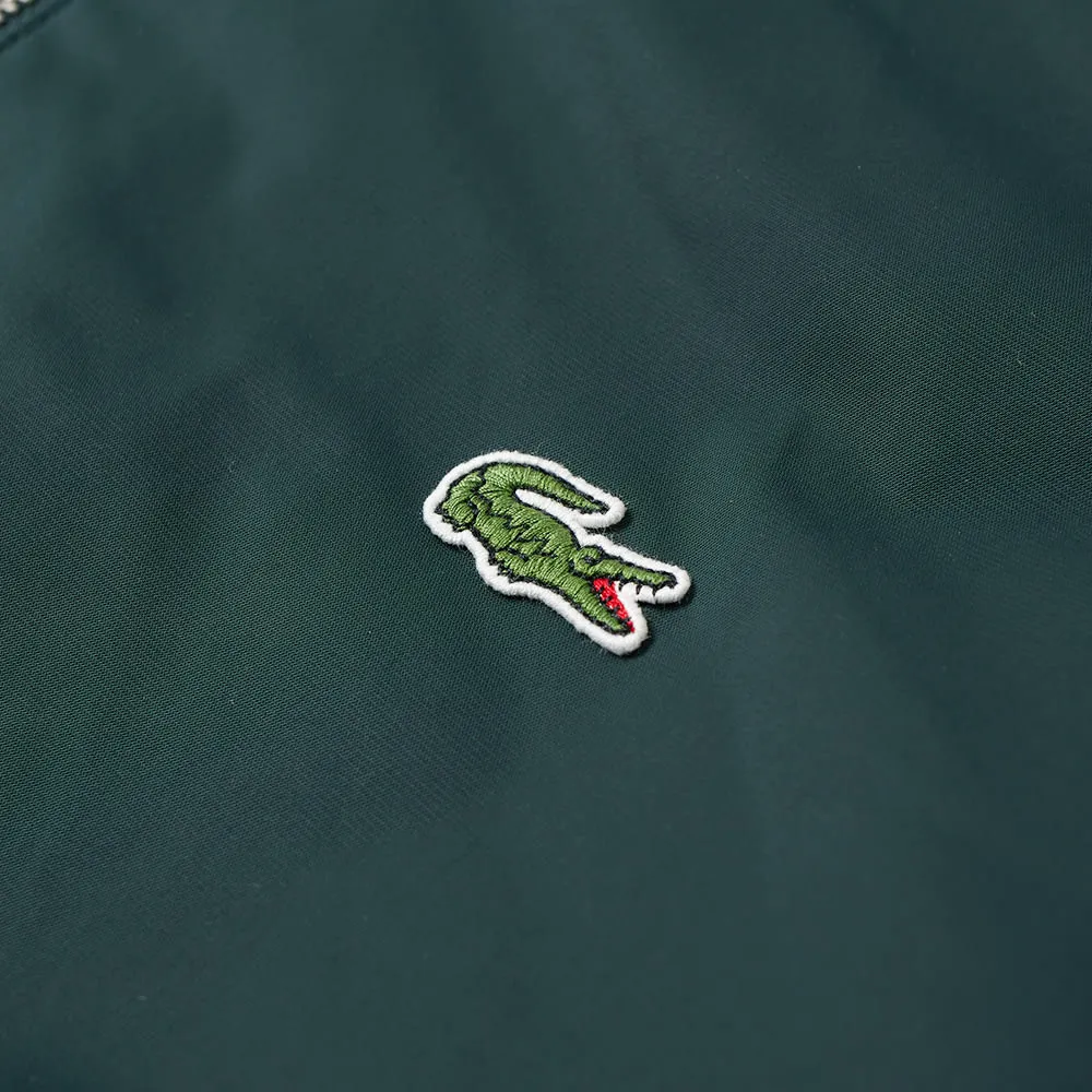 Lacoste MA-1 JacketKelp Green