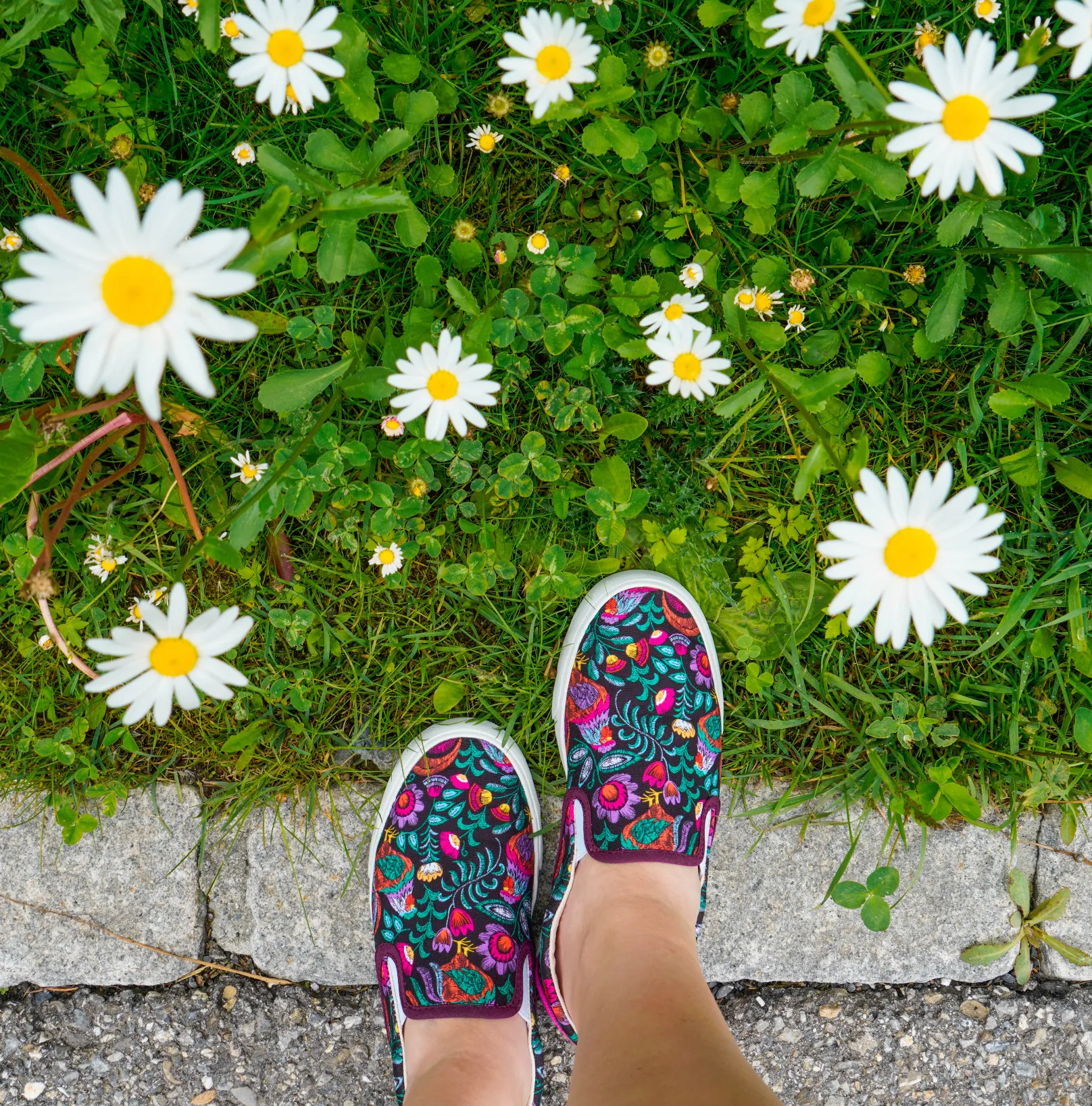 Rooster Slip-On Shoes.