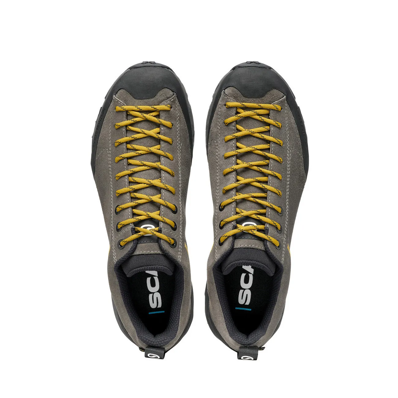 SNEAKERS MOJITO TRAIL GTX Men's Titanium Mustard