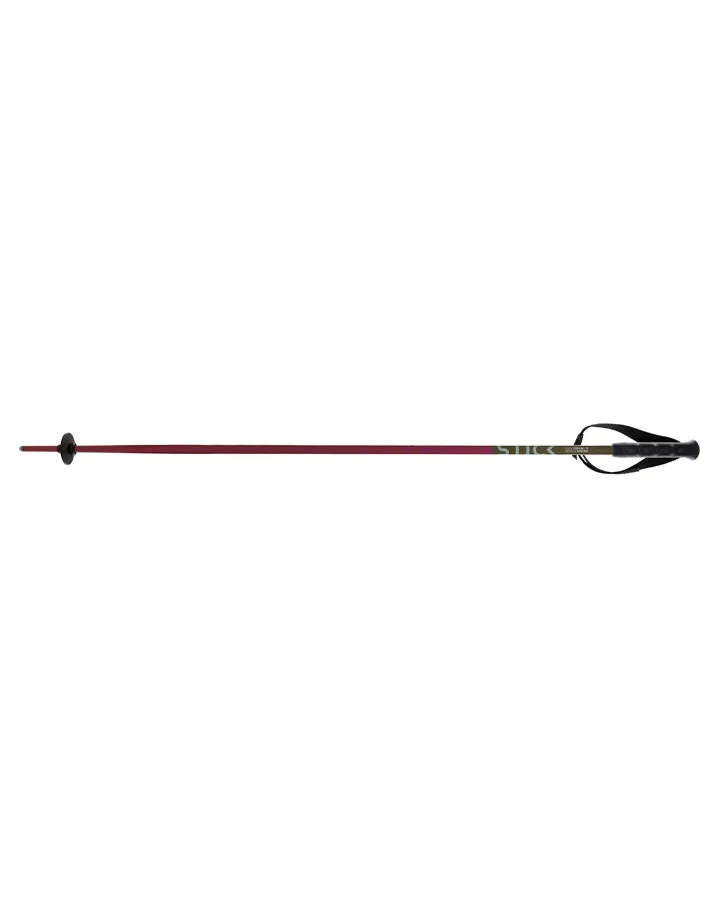 Volkl Berry Ski Poles 2023