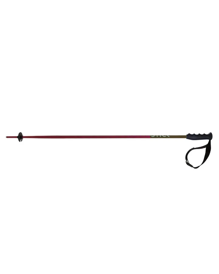 Volkl Berry Ski Poles 2023